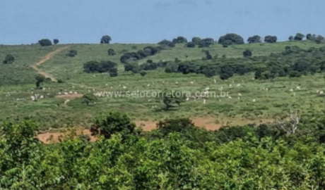 À venda – Fazenda em Ribas do Rio Pardo - Mato Grosso do Sul