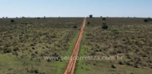 À venda – Fazenda em Ribas do Rio Pardo - Mato Grosso do Sul