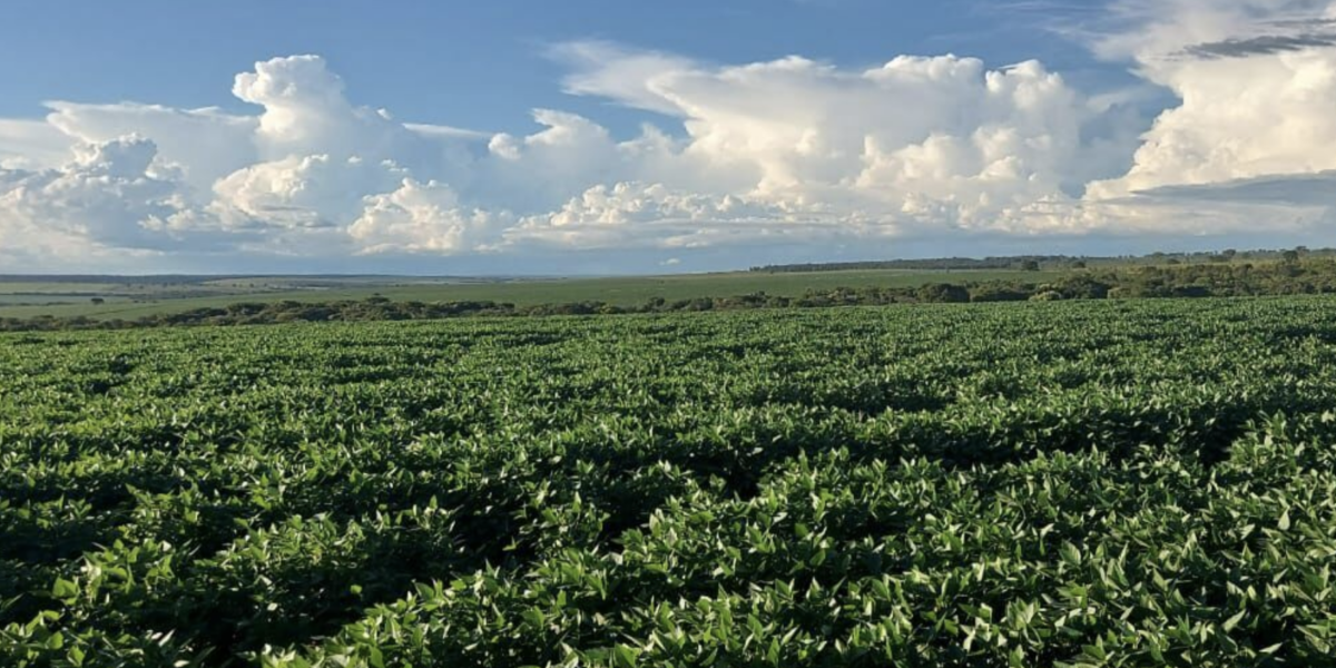 À venda – Fazenda em Rondolândia - Mato Grosso