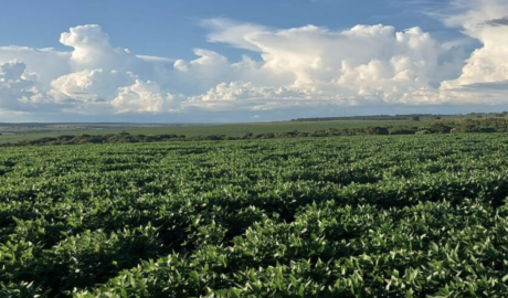 À venda – Fazenda em Rondolândia - Mato Grosso