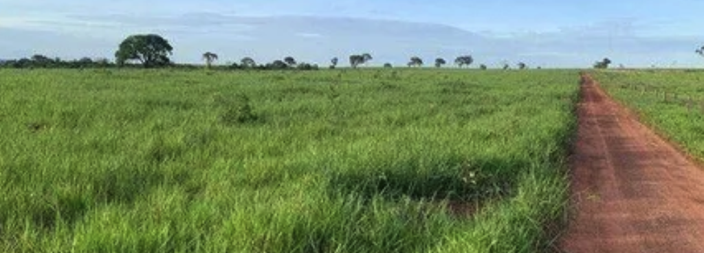 À venda – Fazenda em São Jorge do Patrocínio - Paraná