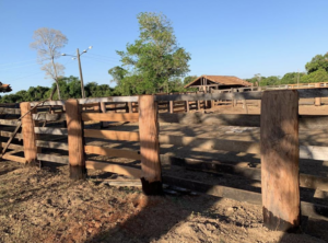 À venda – Fazenda em São Miguel do Araguaia - Goiás