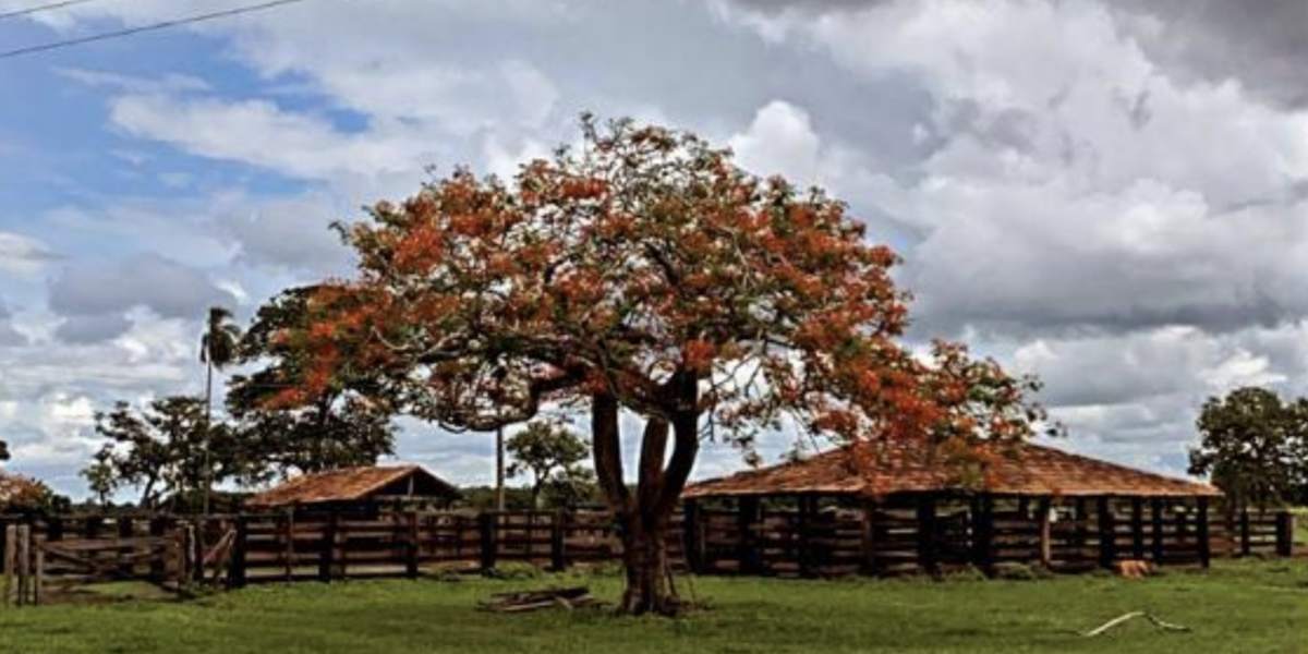 À venda – Fazenda em São Miguel do Araguaia - Goiás