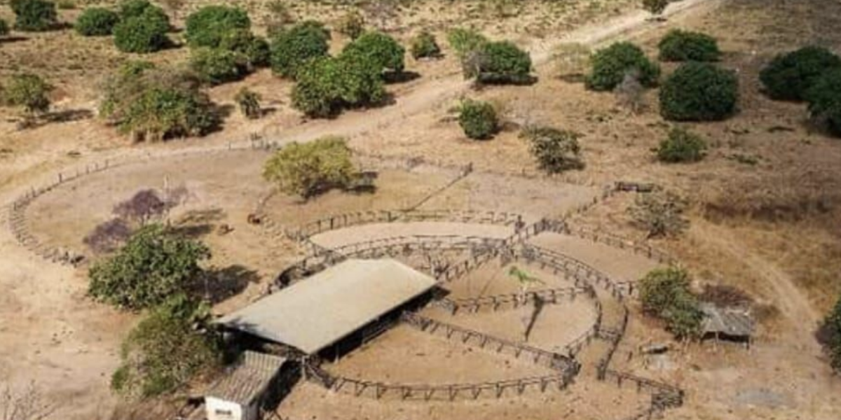 À venda – Fazenda em Serra Nova Dourada - Mato Grosso