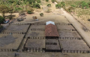 À venda – Fazenda em Serra Nova Dourada - Mato Grosso