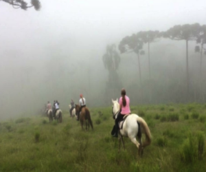 À venda – Fazenda em Tijucas do Sul - Paraná