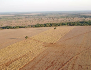 À venda – Fazenda em Vale do Araguaia - Tocantins