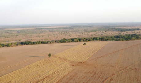 À venda – Fazenda em Vale do Araguaia - Tocantins