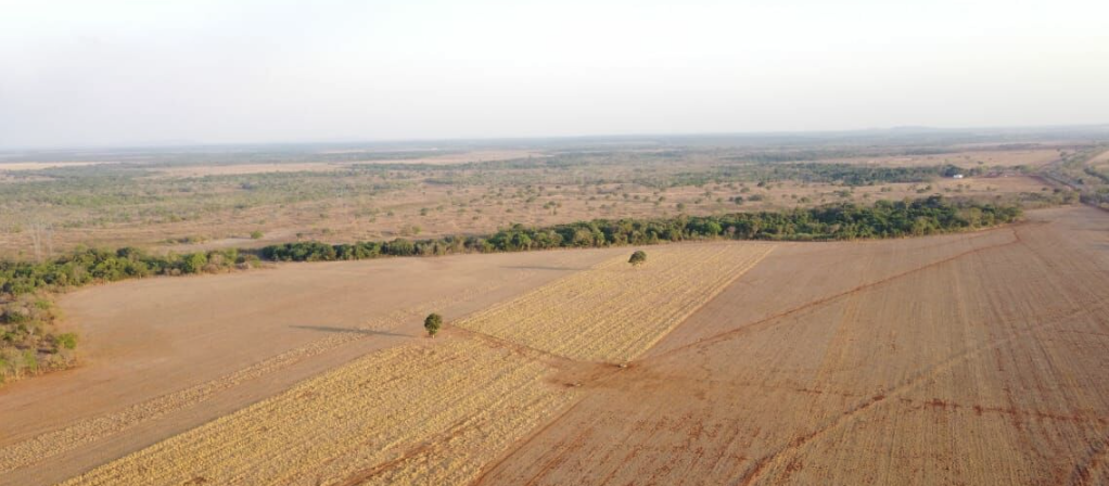 À venda – Fazenda em Vale do Araguaia - Tocantins