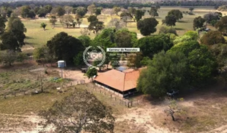 À vende - Fazenda em Corumbá - Mato Grosso do Sul