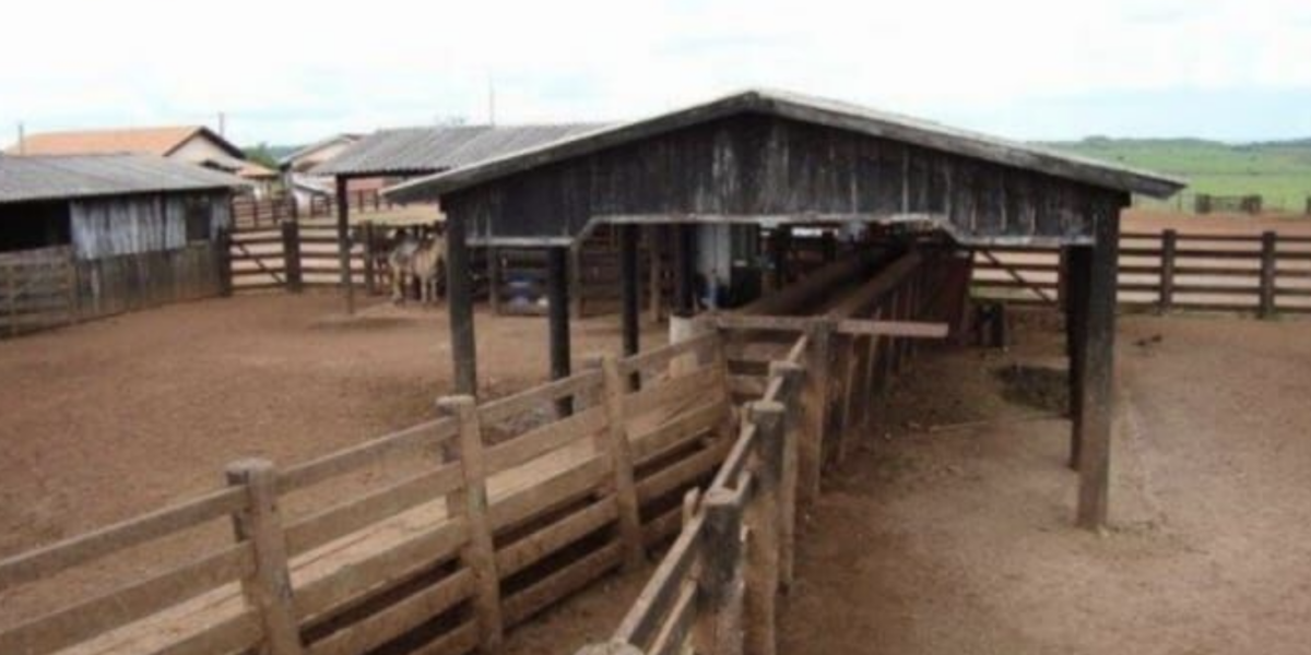 À venda – Fazenda em São Félix do Araguaia - Mato Grosso