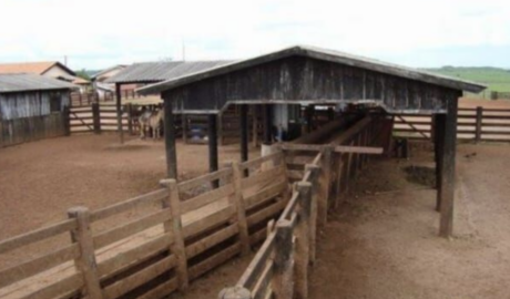 À venda – Fazenda em São Félix do Araguaia - Mato Grosso