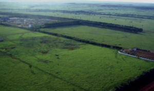 À venda – Fazenda em São Félix do Araguaia - Mato Grosso