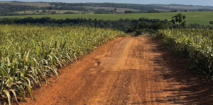 À venda – Fazenda em Bela Vista de Goiás - Goiás