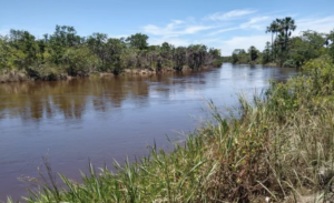 À venda – Fazenda em Cocos - Bahia