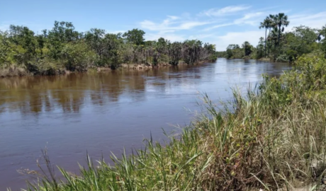 À venda – Fazenda em Cocos - Bahia