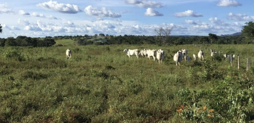 À venda – Fazenda em Miracema do Tocantins - Tocantins02