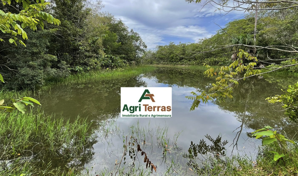 À venda – Fazenda em Nova Maringá - Mato Grosso