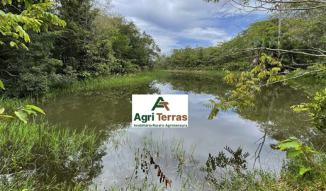 À venda – Fazenda em Nova Maringá - Mato Grosso