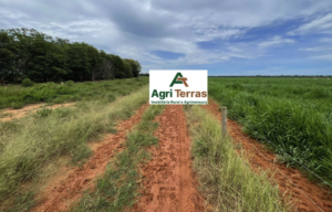 À venda – Fazenda em Nova Maringá - Mato Grosso