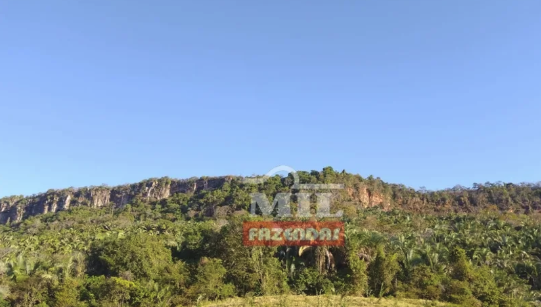 À venda – Fazenda em Novo Acordo - Tocantins