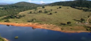 À venda – Fazenda em Padre Bernardo - Goiás