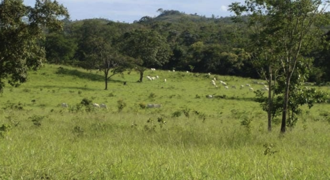 À venda – Fazenda em Padre Bernardo - Goiás