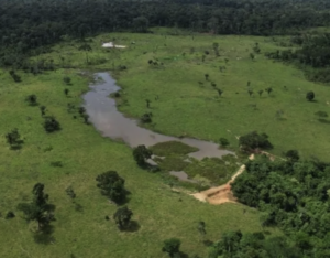 À venda – Fazenda em Plácido de Castro - Acre