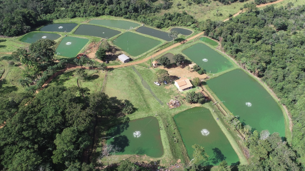 À venda – Sítio em Orizona - Goiás