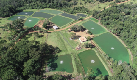 À venda – Sítio em Orizona - Goiás