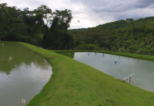 À venda – Sítio em Orizona - Goiás