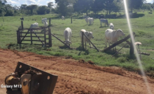 Anunciar propriedades rurais para venda em São Paulo - SP