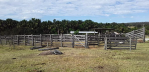 Anúncio de imóveis rurais a venda em Goiania – GO