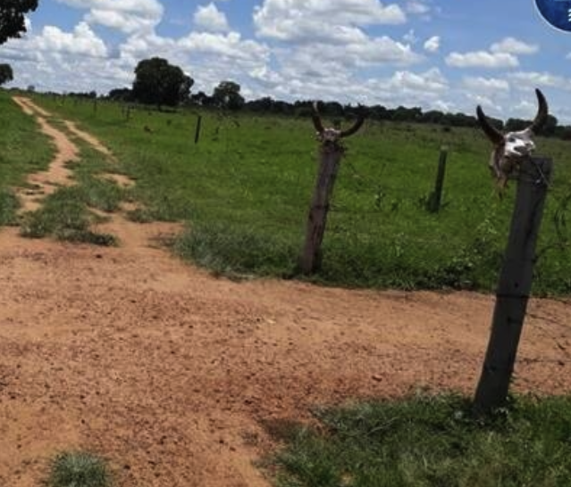 Como comprar um imóvel rural em Goiania – GO