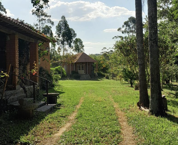 Como comprar um imóvel rural em São Paulo - SP