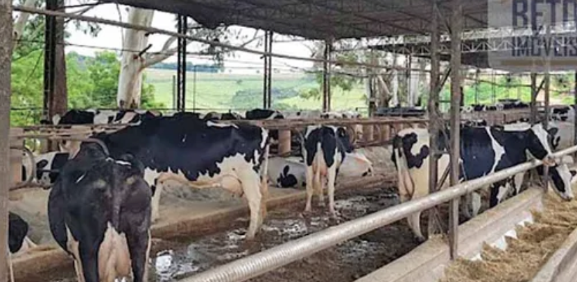 Onde vender um imóvel rural em São Paulo - SP