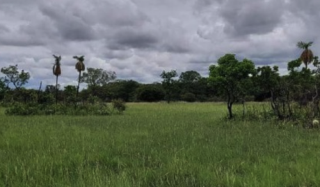 Venda de imóveis rurais em Goiania - GO