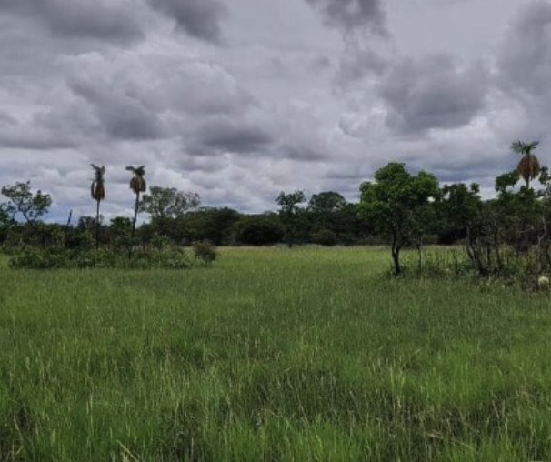 Venda de imóveis rurais em Goiania - GO