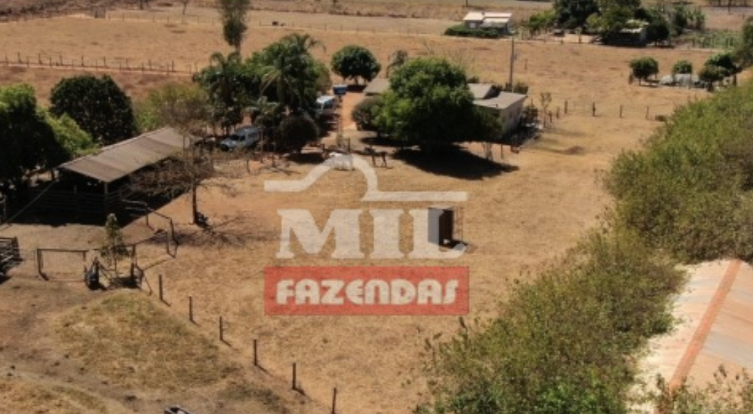 Chácara em Goianápolis - Goiás - Mil Fazendas