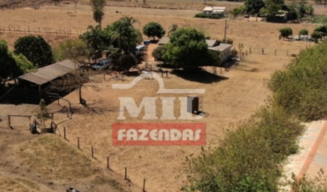 Chácara em Goianápolis - Goiás - Mil Fazendas