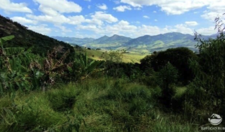 Como comprar um imóvel rural em Macapá – Amapá