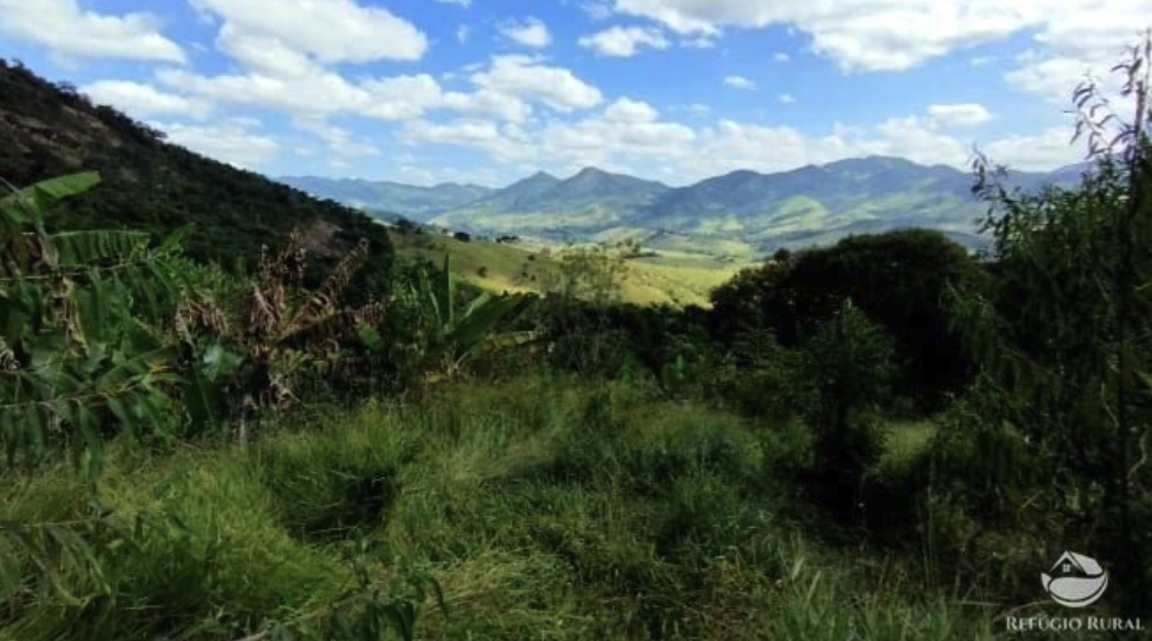 Como comprar um imóvel rural em Macapá – Amapá