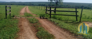 Como vender um imóvel rural em Macapá – Amapá