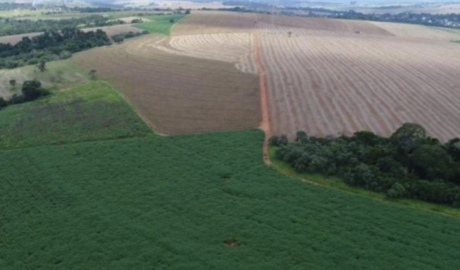 Como vender um imóvel rural em Rio Branco – Acre