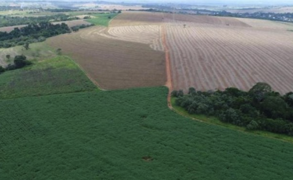 Como vender um imóvel rural em Rio Branco – Acre