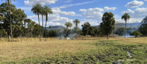 Compra de fazendas em Macapá – Amapá