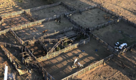 Compra de fazendas em Macapá – Amapá