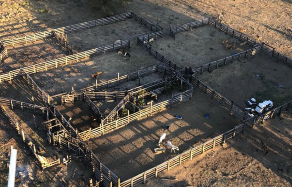 Compra de fazendas em Macapá – Amapá