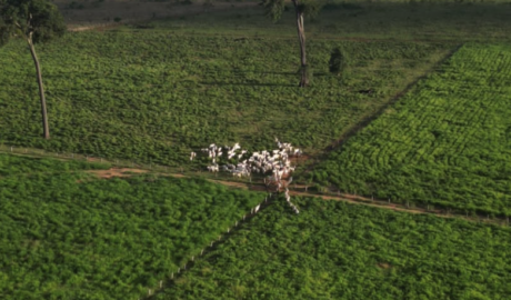 Compra de terras em Macapá – Amapá