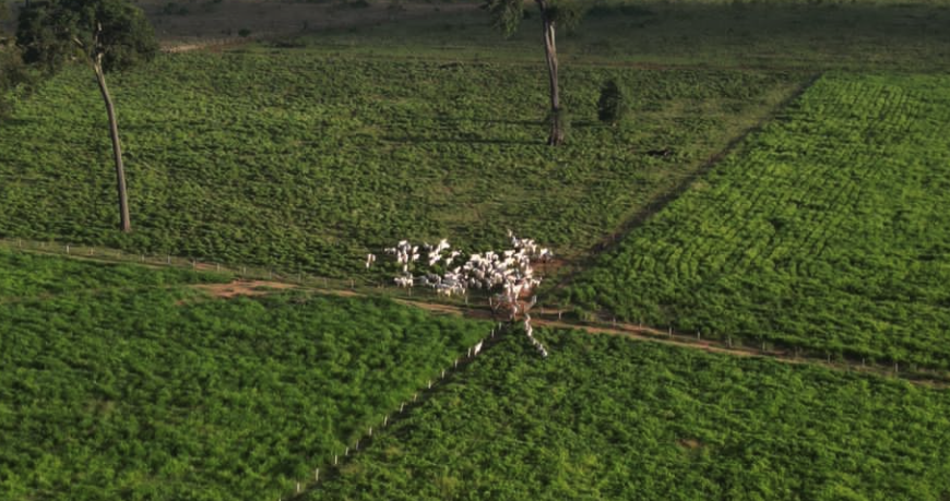 Compra de terras em Macapá – Amapá